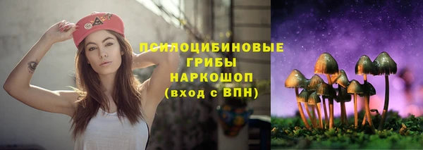 spice Бородино
