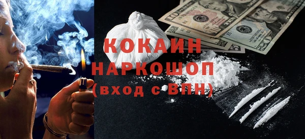 spice Бородино