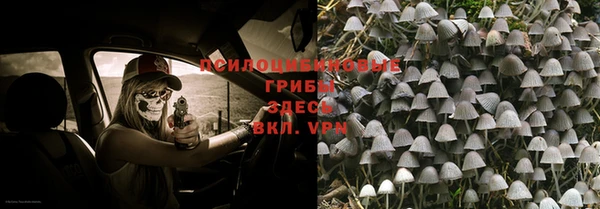 мяу мяу мука Бугульма