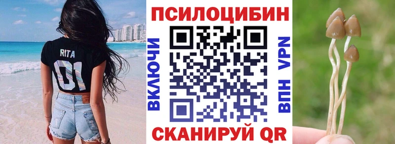 Купить где  Усть-Илимск  Псилоцибиновые грибы прущие грибы 